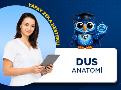 DUS Anatomi Dersleri