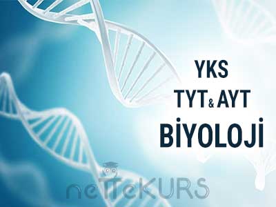 2018 - 2019 YKS - TYT & AYT Biyoloji Dersleri