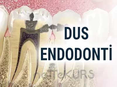 DUS Endodonti Dersleri