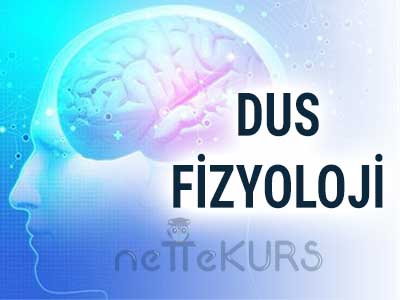 Online DUS Fizyoloji Dersleri, DUS Fizyoloji Uzaktan Eğitim Dersleri