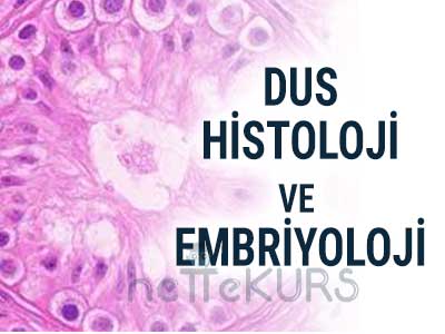 Online DUS Histoloji ve Embriyoloji Dersleri, Histoloji ve Embriyoloji Uzaktan Eğitim