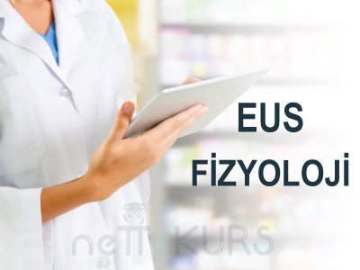 Online EUS Fizyoloji Dersleri, EUS Fizyoloji Uzaktan Eğitim Dersleri