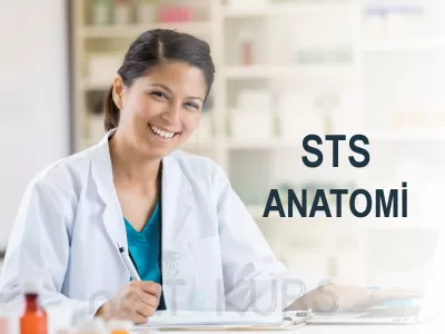 STS Eczacılık Online Anatomi Dersleri