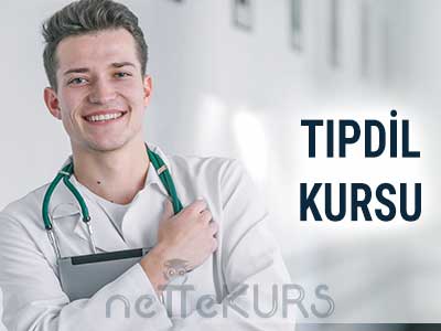 2024 Şubat Online TIPDİL Kursu