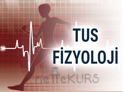 Online TUS Fizyoloji Dersleri, TUS Fizyoloji Uzaktan Eğitim Dersleri