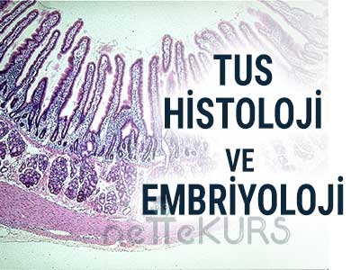 Online TUS Histoloji ve Embriyoloji Dersleri, Histoloji ve Embriyoloji Uzaktan Eğitim