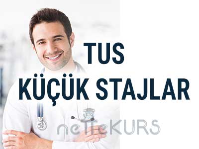 Online TUS Küçük Stajlar Dersleri, TUS Küçük Stajlar Uzaktan Eğitim Dersleri