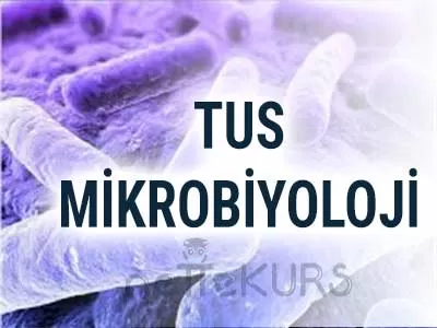 TUS Mikrobiyoloji Dersleri