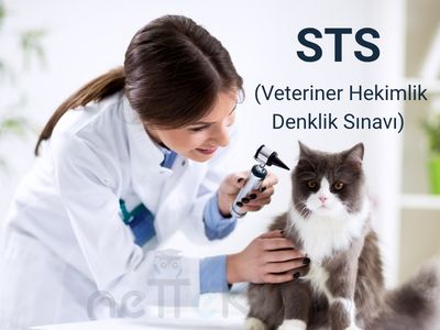 STS Veterinerlik (Veteriner Hekimliği Seviye Tespit Sınavı) online kurs kategorisi