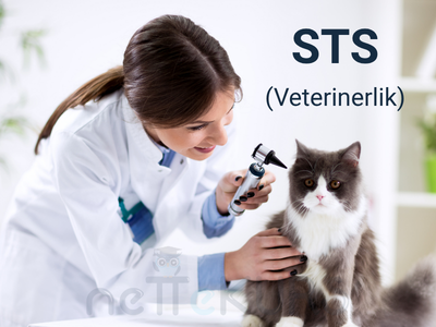 STS Veterinerlik (Veteriner Hekimliği Seviye Tespit Sınavı) online kurs kategorisi